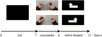 Analysis of the Relationship Between Motor Imagery and Age-Related Fatigue for CNN Classification of the EEG Data